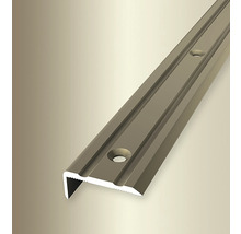 Treppenkantenprofil aus Metall mit Befestigungslöchern