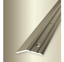 Profilleiste aus Metall mit Bohrlöchern zur Bodenbefestigung