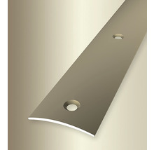 Metallbodenschiene mit Befestigungslöchern