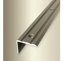 Treppenkantenprofil aus Metall mit vorgebohrten Löchern