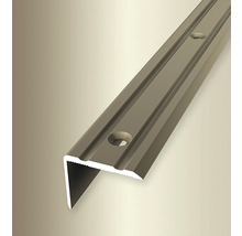 Treppenkantenprofil aus Metall mit Schraubenlöchern