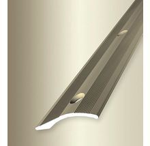 Metallisches Übergangsprofil mit Schraublöchern