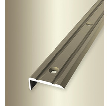 Metall Treppenkantenprofil mit Bohrlöchern