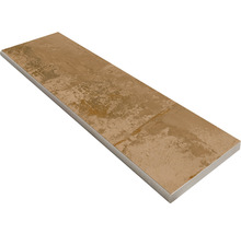 Poolumrandung Beckenrandstein Metallic Corten Brown Rundform 30 x 100 cm