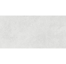 Feinsteinzeug Wand- und Bodenfliese Candy light grey 79,8 x 79,8 cm rektifiziert