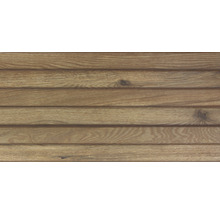 Dekorfliese Rako Base Holz braun 30x60x1 cm