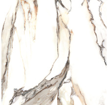 Muster einer Bodenfliese mit Marmoroptik