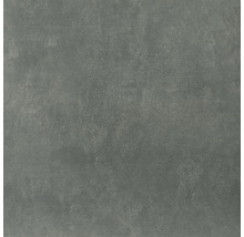 Wand- und Bodenfliese Cemento anthrazit 61,5x61,5x0,85cm