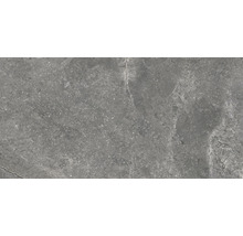 Wand- und Bodenfliese Wells ash matt 30x60cm