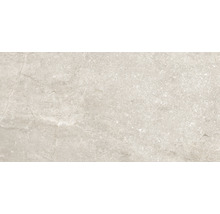Wand- und Bodenfliese Wells sand poliert 30x60cm