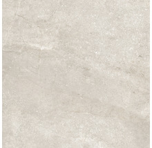 Wand- und Bodenfliese Wells sand poliert 60x60cm