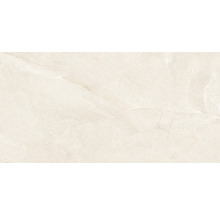Wand- und Bodenfliese Wells ivory matt 60x120cm