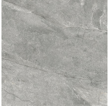 Wand- und Bodenfliese Wells ash matt 120x120cm