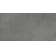 Wand- und Bodenfliese Noblesse grigio matt 30x60x0,95cm