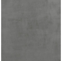 Wand- und Bodenfliese Noblesse grigio matt 60x60x0,95cm