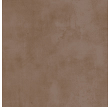 Wand- und Bodenfliese Noblesse terra matt 60x60x0,95cm