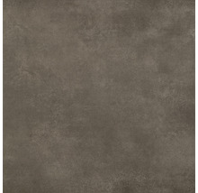 Feinsteinzeug Wand- und Bodenfliese Classica braun 59,8x59,8x0,8cm rektifiziert