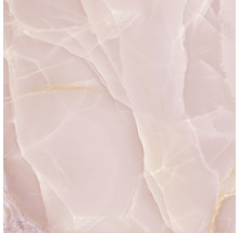 Wand- und Bodenfliese Lima rose 120x120cm glänzend rektifiziert