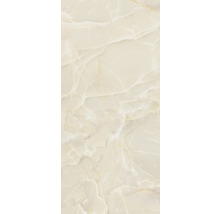 Wand- und Bodenfliese Lima sable 120x260cm glänzend rektifiziert