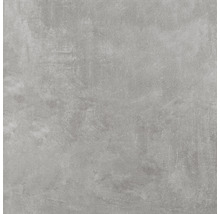 Wand- und Bodenfliese Cemento grey 61,5X61,5x0,85cm