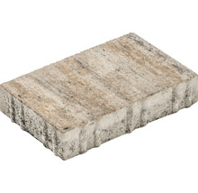 Einzelner Pflasterstein