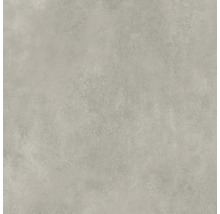 Produktbild: Feinsteinzeug Wand- und Bodenfliese Classica hellgrau 59,8x59,8x0,8cm rektifiziert