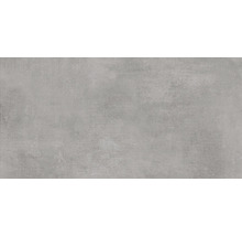 Wand- und Bodenfliese Terra cemento 29,75x59,7cm matt rektifiziert