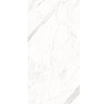 Wand- und Bodenfliese Calacatta 120x60x0,7cm, poliert