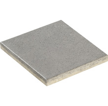 Einzelne Betonpflasterplatte