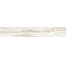Wand- und Bodenfliese Aretino ivory 24x150x0,85cm