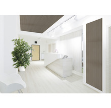 Heller Raum mit Holzlamellendecke und -wandpaneelen, Rezeption und Grünpflanze