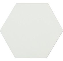 Hexagon Fliese Pamesa Mayfair Sechseck beige 19,8x22,8x1 cm