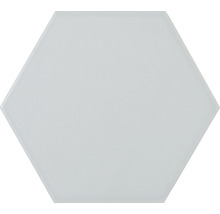 Hexagon Fliese Pamesa Mayfair Sechseck perla 19,8x22,8x1 cm
