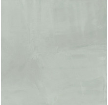 Wand- und Bodenfliese Paint salvia 60x60cm rektifiziert