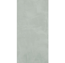 Wand- und Bodenfliese Paint salvia 60x120cm rektifiziert