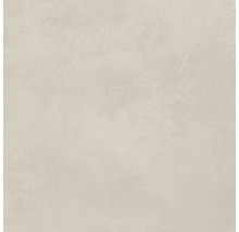 Wand- und Bodenfliese Portland white 60x60cm