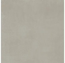 Wand- und Bodenfliese Portland grey 60x60cm