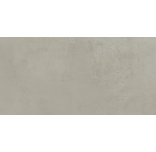 Wand- und Bodenfliese Portland grey 30x60cm