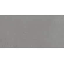 Produktbild: Wand- und Bodenfliese Portland plomb 30x60cm