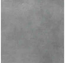 Graue Feinsteinzeugfliese