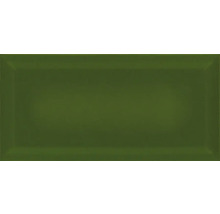 Metro-Fliese mit Facette Verde Botella glänzend 10 x 20 cm