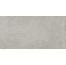 Produktbild: Bodenfliese Argenta Laurent argent 29,8x60cm rektifiziert