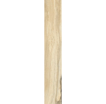 Holzstruktur Nahaufnahme