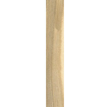 Holzstruktur Nahaufnahme