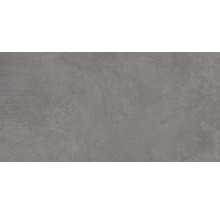 Wand- und Bodenfliese Europa Antracite 31x62 cm