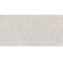 Wand- und Bodenfliese Europa Light Grey 31x62cm