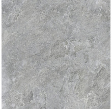 Produktbild: Wand- und Bodenfliese Bet Silver Grey 60x60 rekt