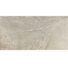 Wand- und Bodenfliese Sakhir ivory 59,5x120cm rektifiziert