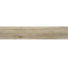 Produktbild: Wand- und Bodenfliese Blaze natural 22,7x119,5cm rektifiziert