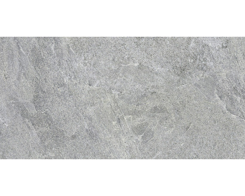 Wand- und Bodenfliese Bet Silver Grey 30x60 cm rektifiziert